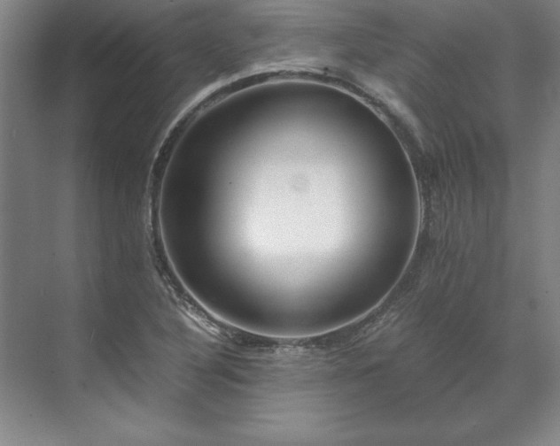 X0000071761316200607071225