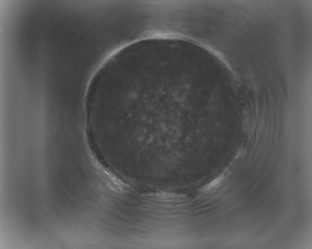 X0000071761319200607071226