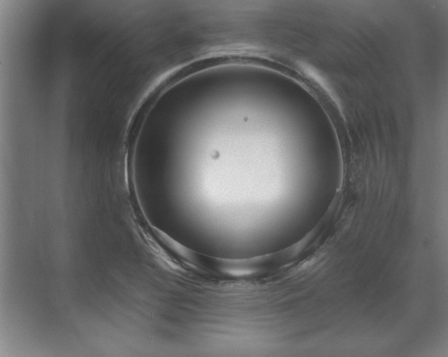 X0000071761320200607071226