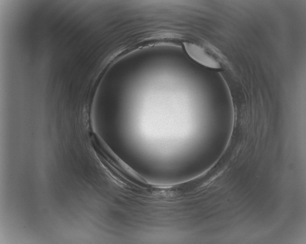 X0000071761321200607071226