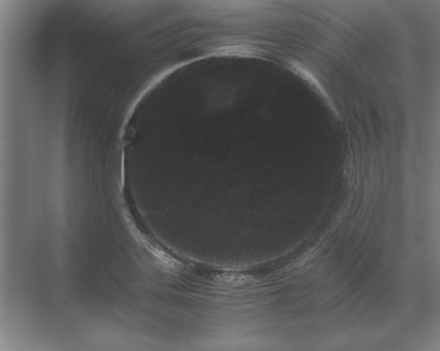 X0000071761323200607071226