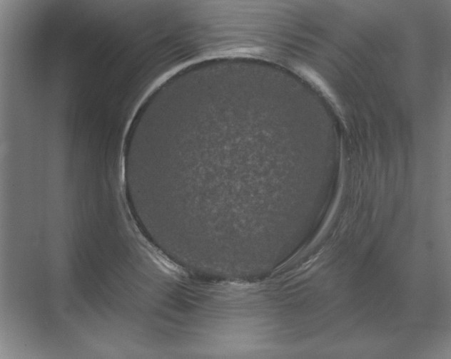 X0000071761324200607071226