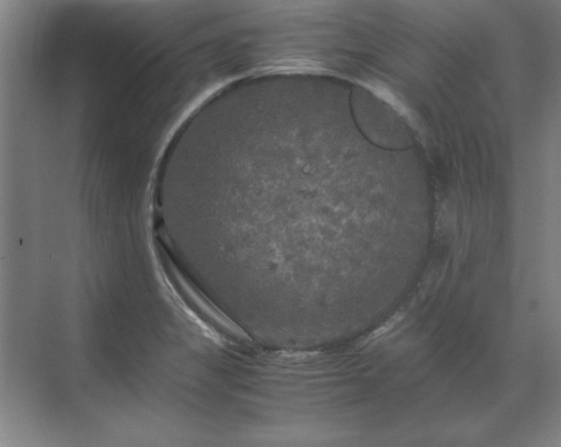 X0000071761325200607071226