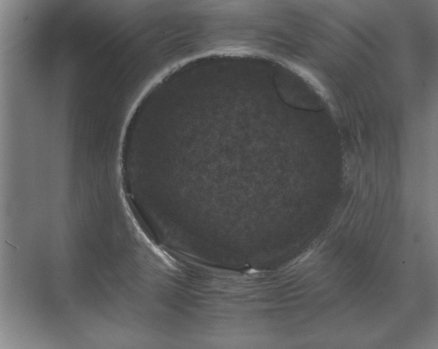 X0000071761327200607071226