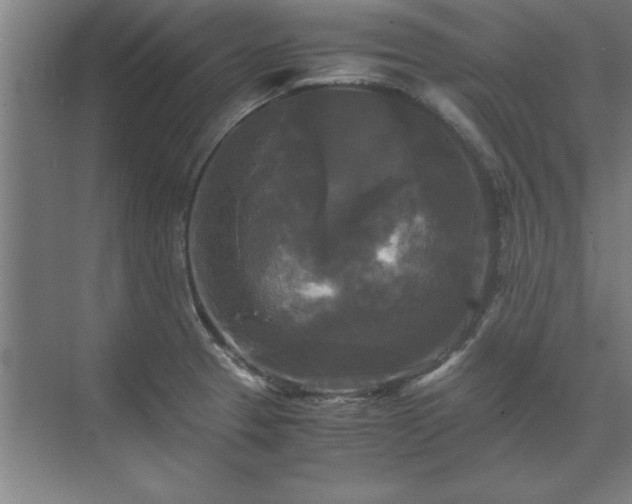 X0000071761329200607071226