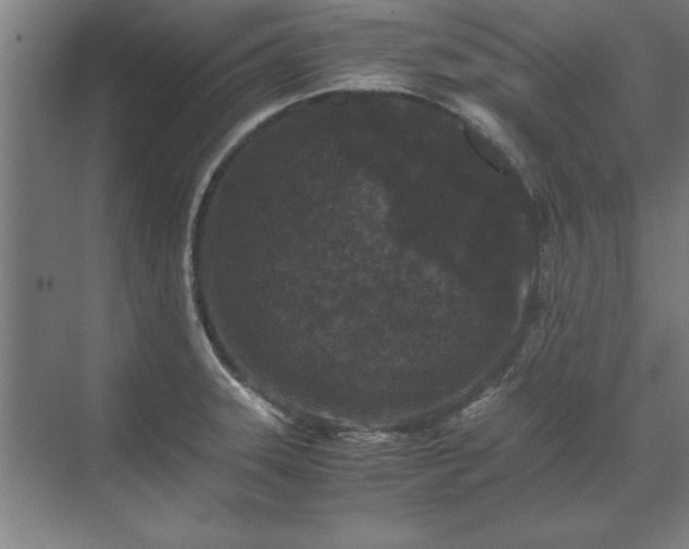 X0000071761331200607071226