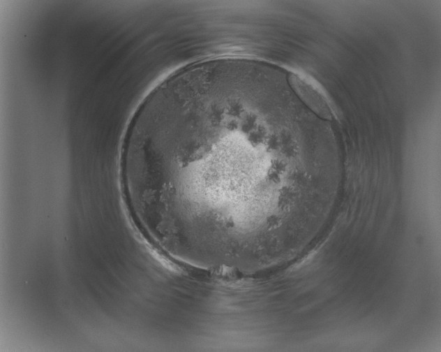 X0000071761333200607071226