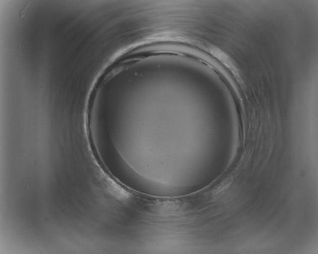 X0000071761334200607071226