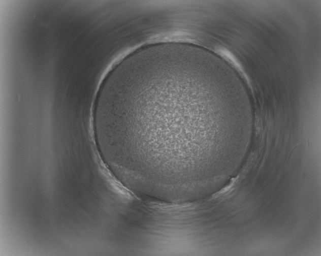 X0000071761336200607071226