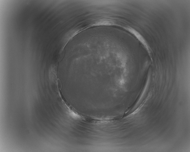 X0000071761337200607071226