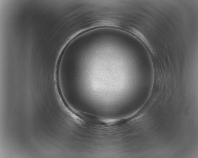 X0000071761339200607071226