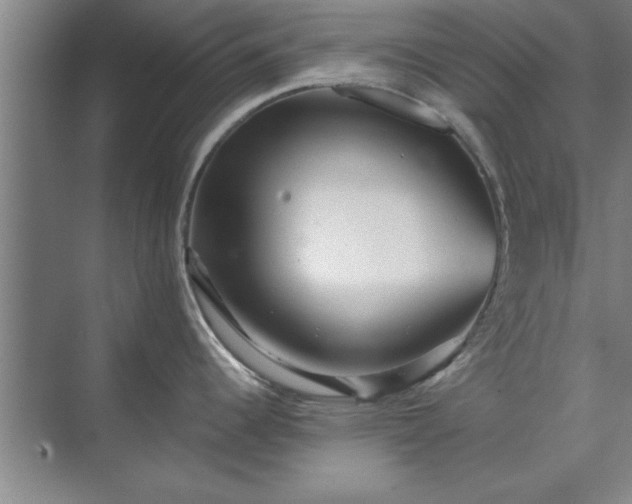 X0000071761344200607071226