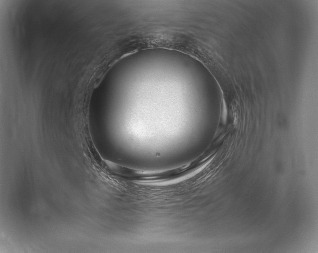 X0000071761345200607071225