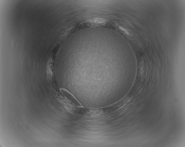 X0000071761346200607071225