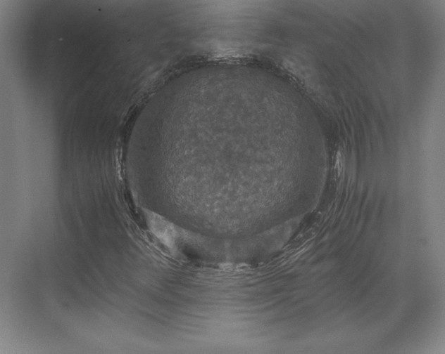 X0000071761348200607071225