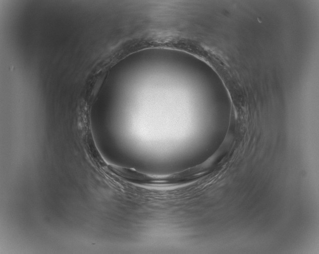 X0000071761349200607071225