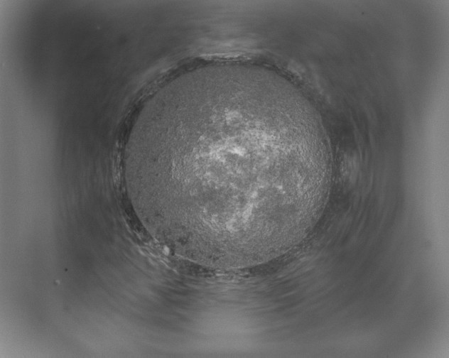 X0000071761350200607071225