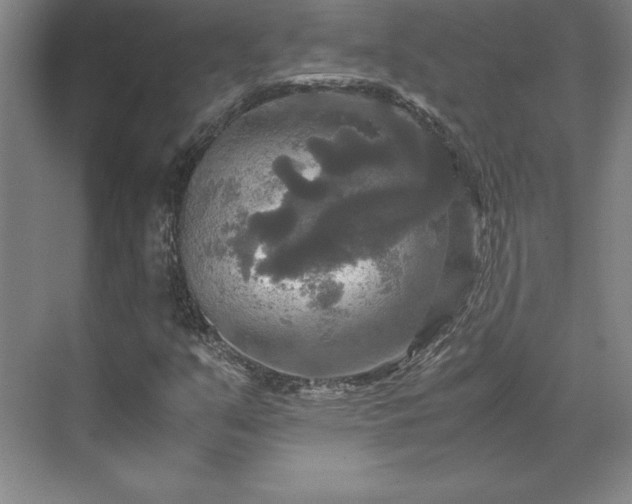 X0000071761351200607071225