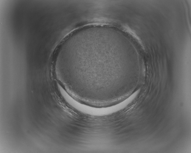 X0000071761352200607071225