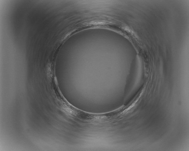 X0000071761353200607071225