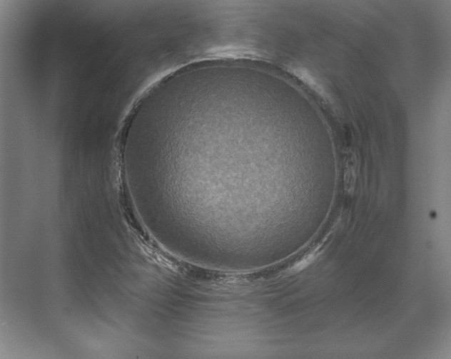 X0000071761358200607071225