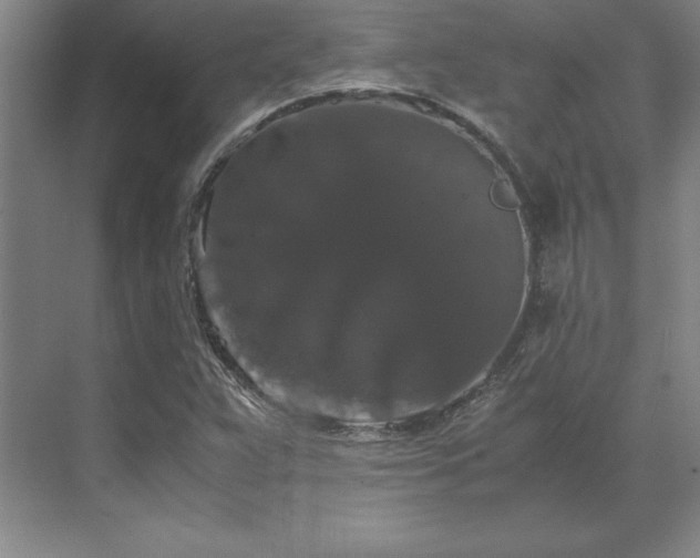 X0000071761359200607071225