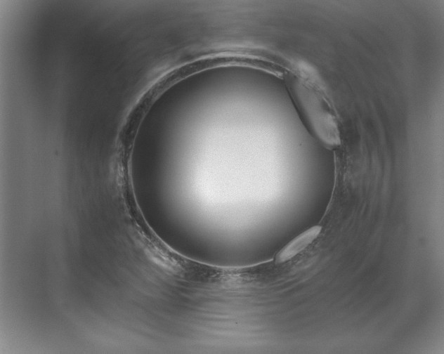 X0000071761360200607071225