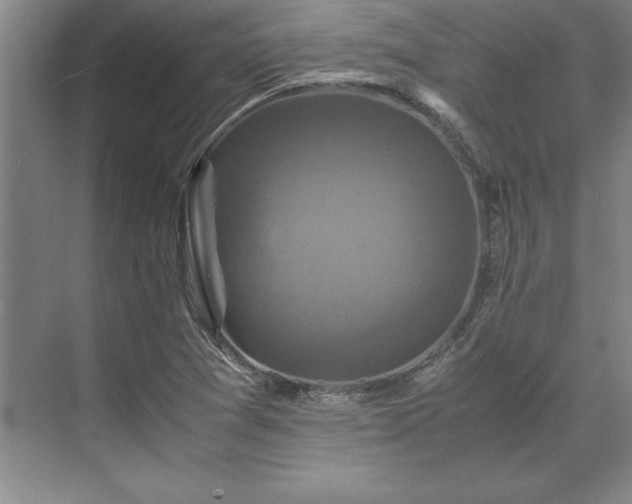 X0000071761361200607071225