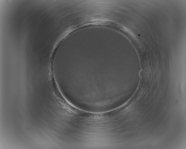 X0000071761362200607071225