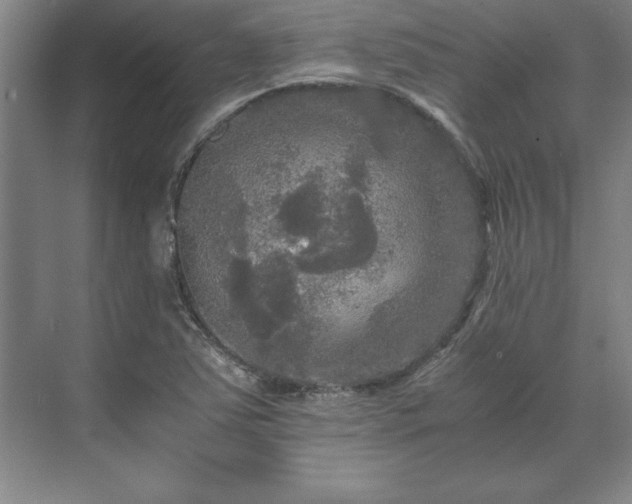 X0000071761363200607071225