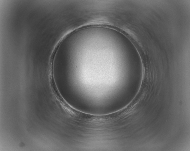 X0000071761366200607071225