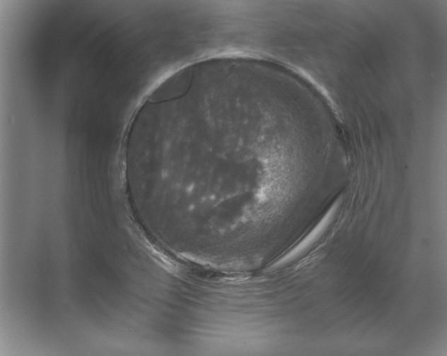 X0000071761367200607071225