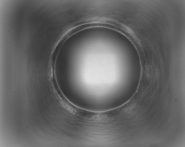 X0000071761368200607071225