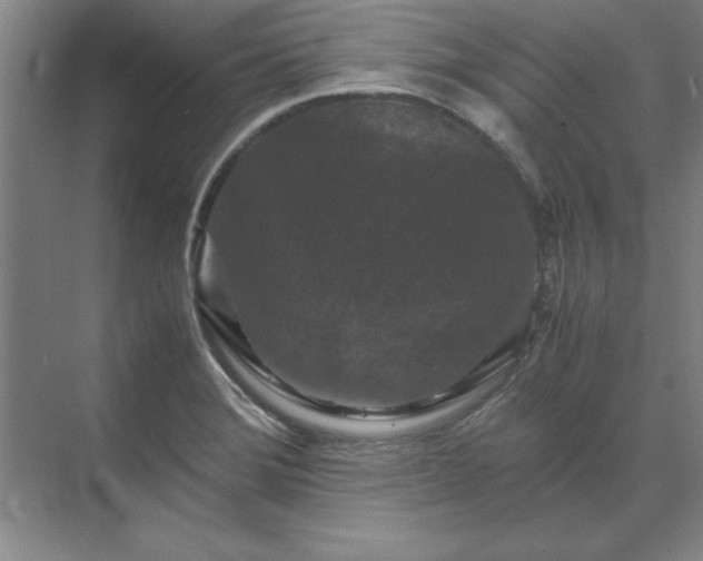 X0000071761372200607071225