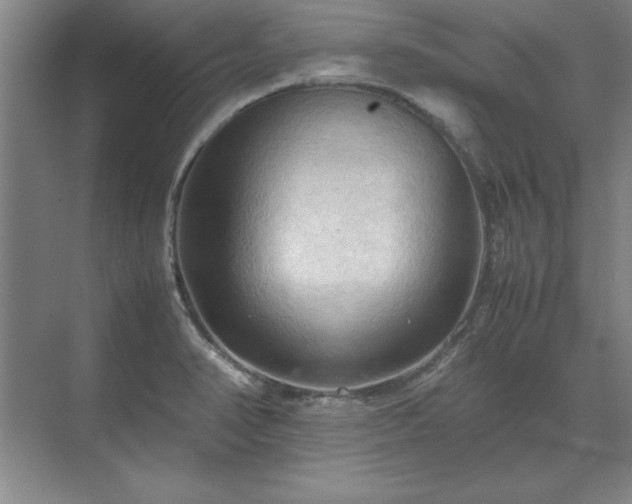 X0000071761374200607071225