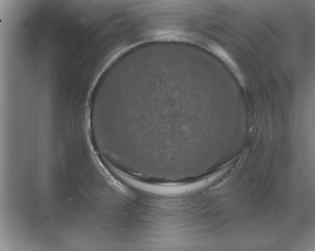 X0000071761376200607071225