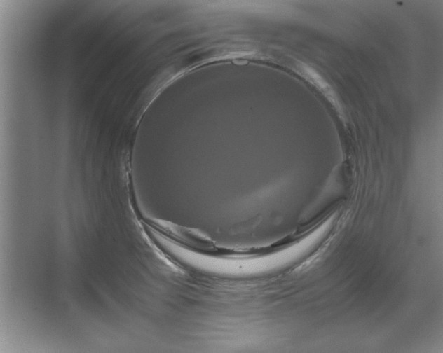 X0000071761377200607071225