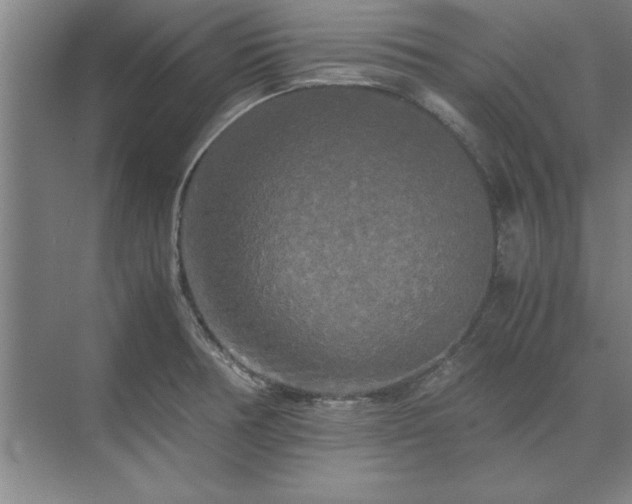 X0000071761378200607071225