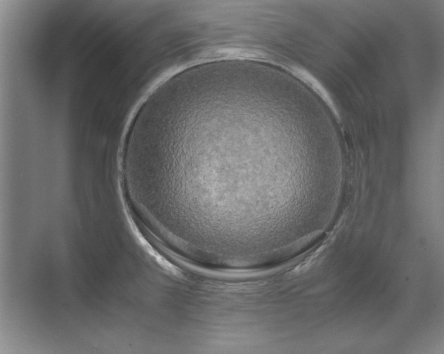 X0000071761381200607071225