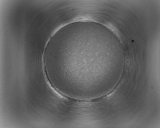 X0000071761382200607071225