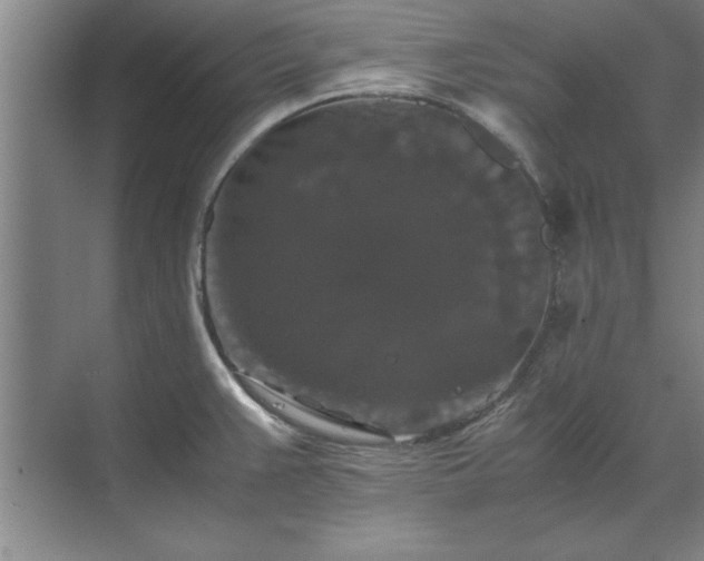 X0000071761383200607071225