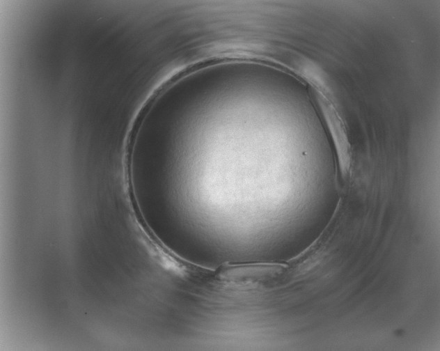 X0000071761384200607071225