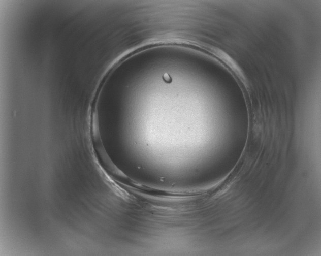 X0000071761388200607071224