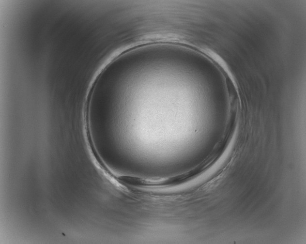 X0000071761389200607071224