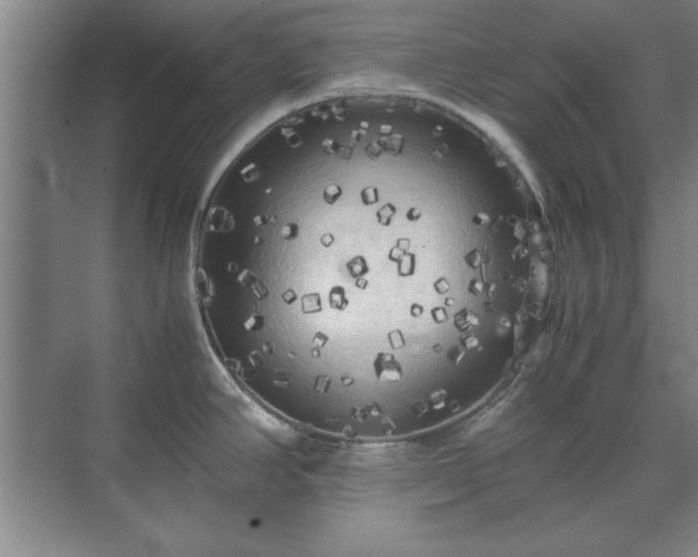 X0000071761390200607071224