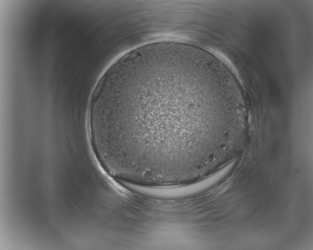 X0000071761391200607071224