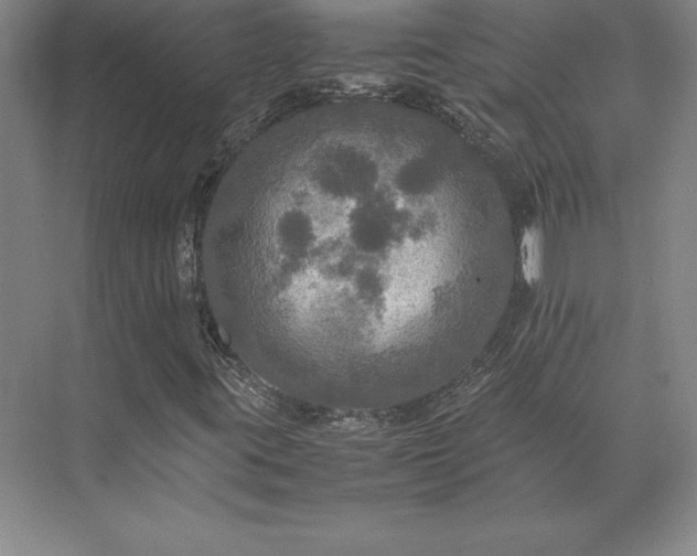 X0000071761395200607071224