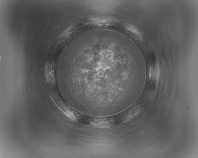 X0000071761396200607071224