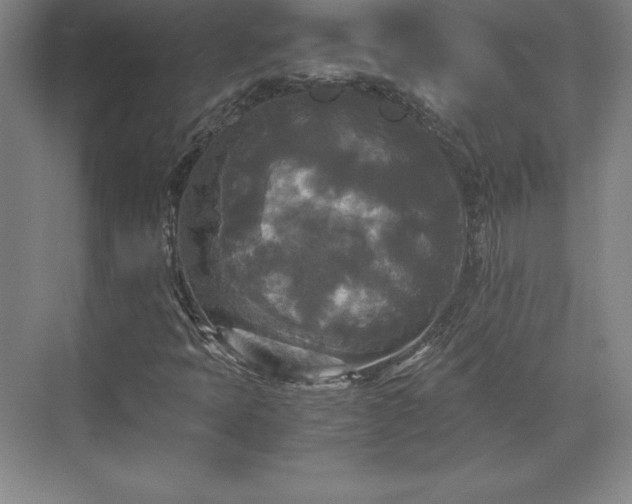 X0000071761397200607071224