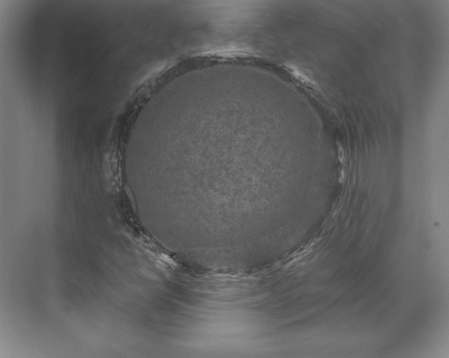 X0000071761398200607071224